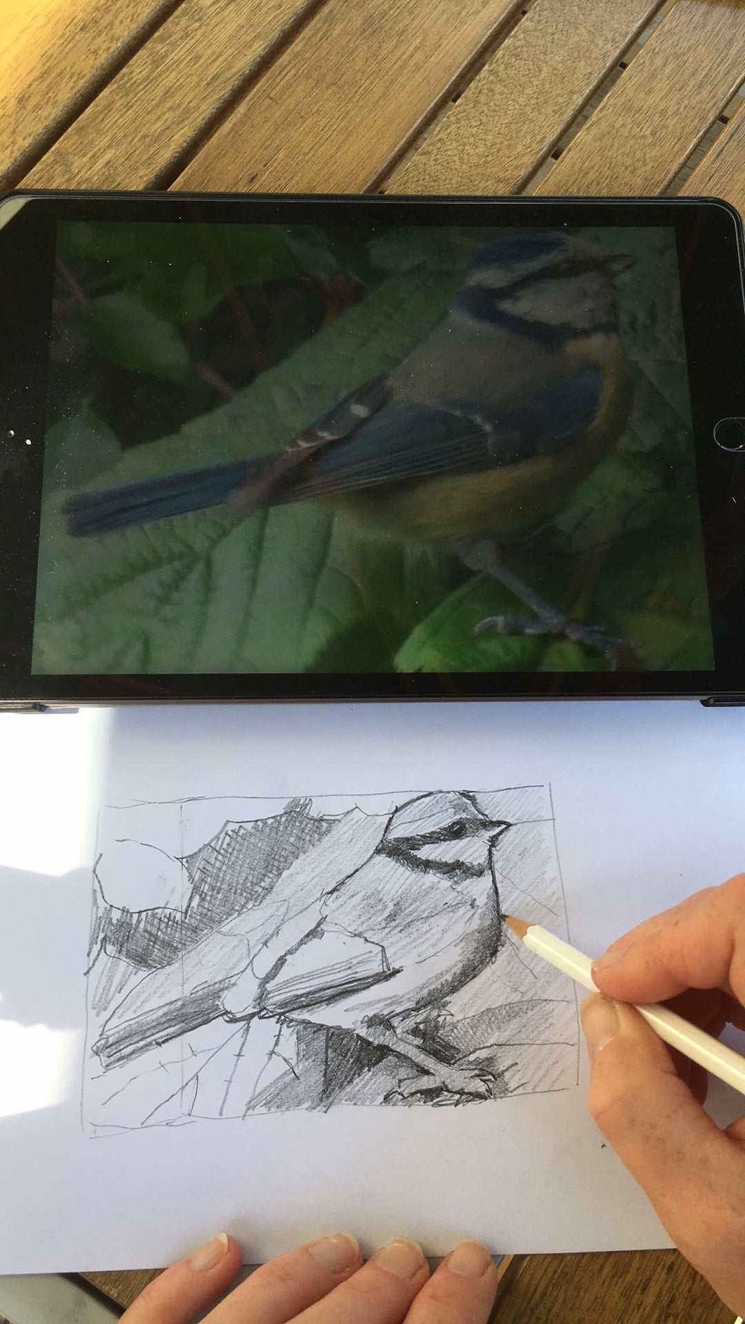 Purple Crayon Art Class 4 : using the negative space to draw