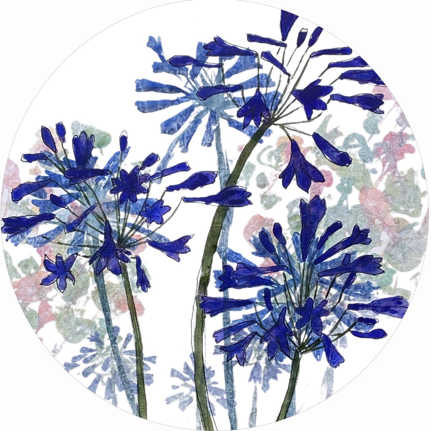 HANGING DECORATION: 3 agapanthus