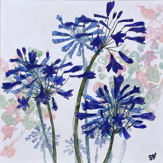 CARD: 3 agapanthus SQ