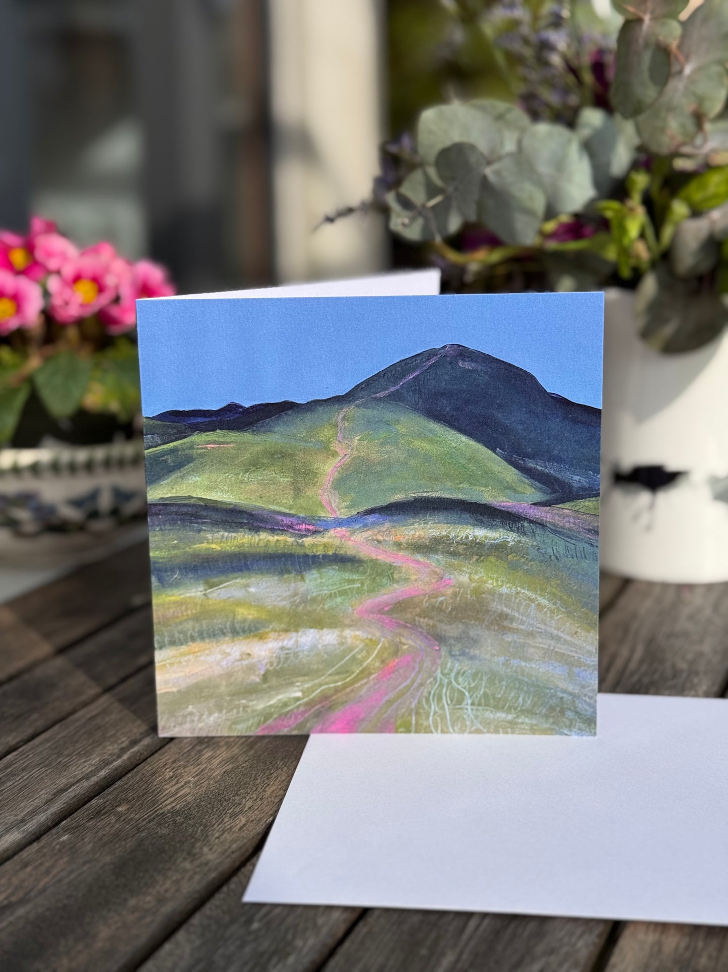 CARD: towards carnethy