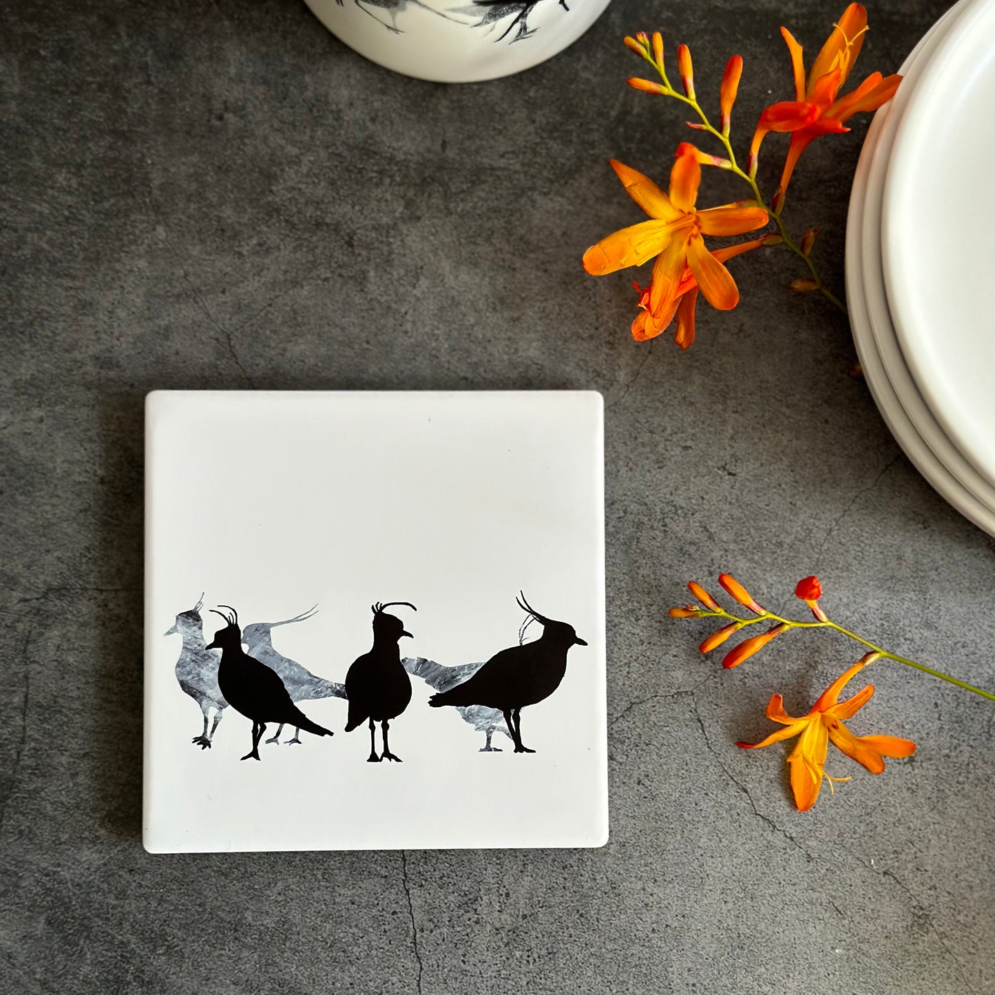 COASTER : peewit