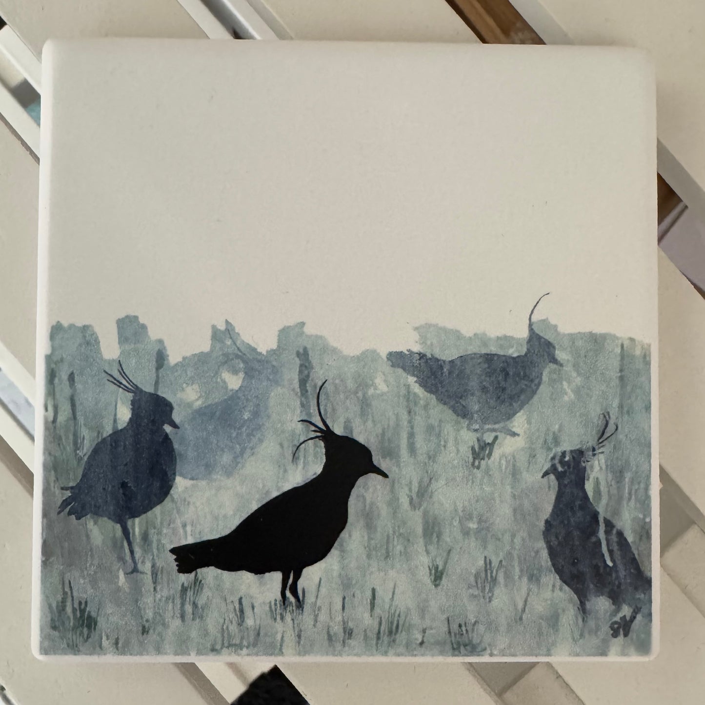 COASTER : peewit with green