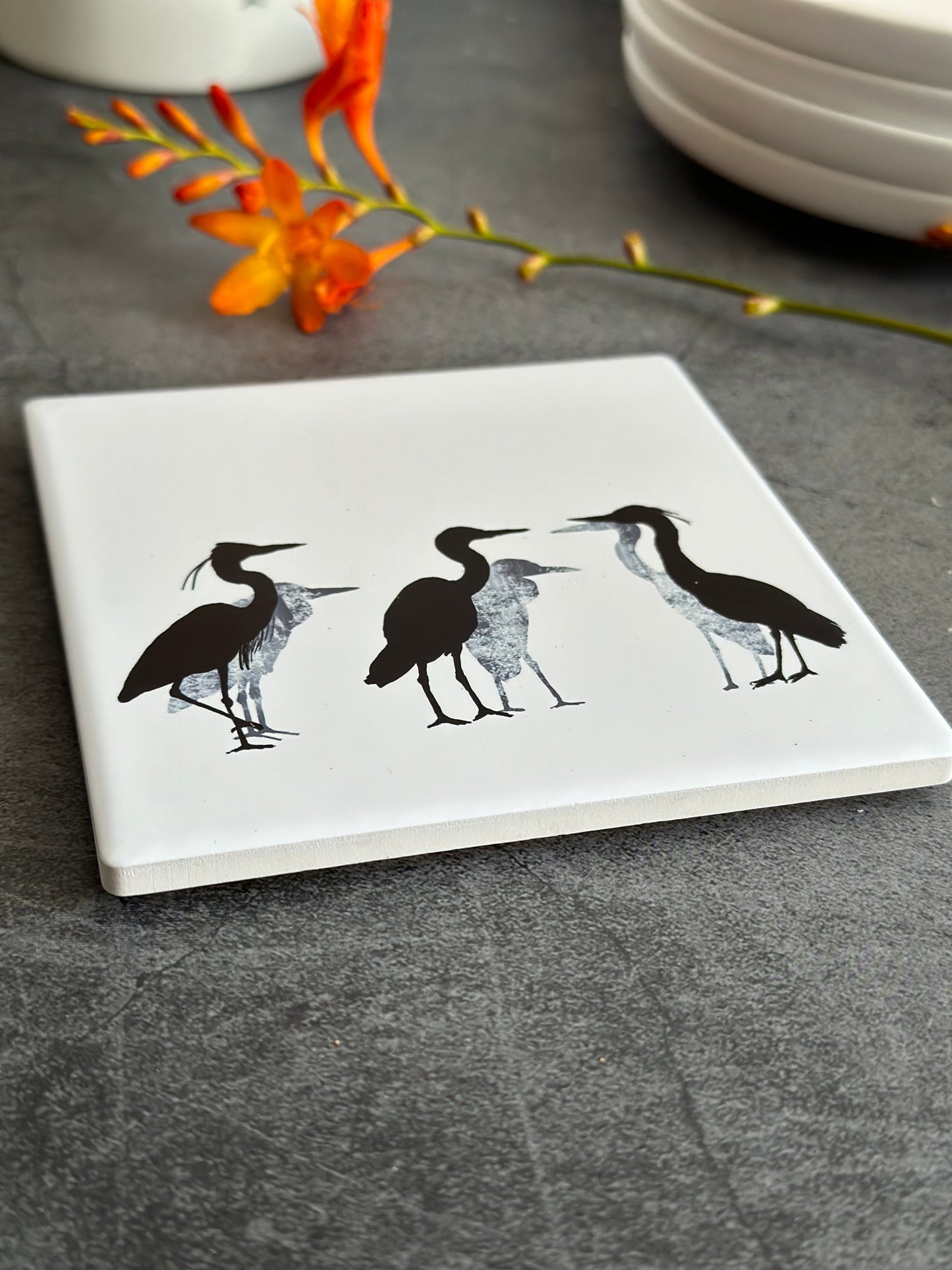 COASTER : heron