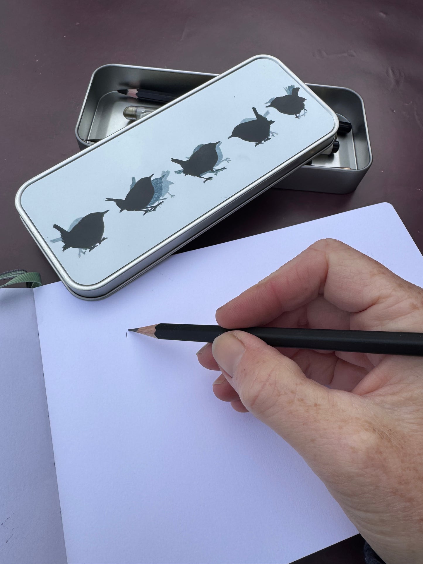 PENCIL TIN : wren