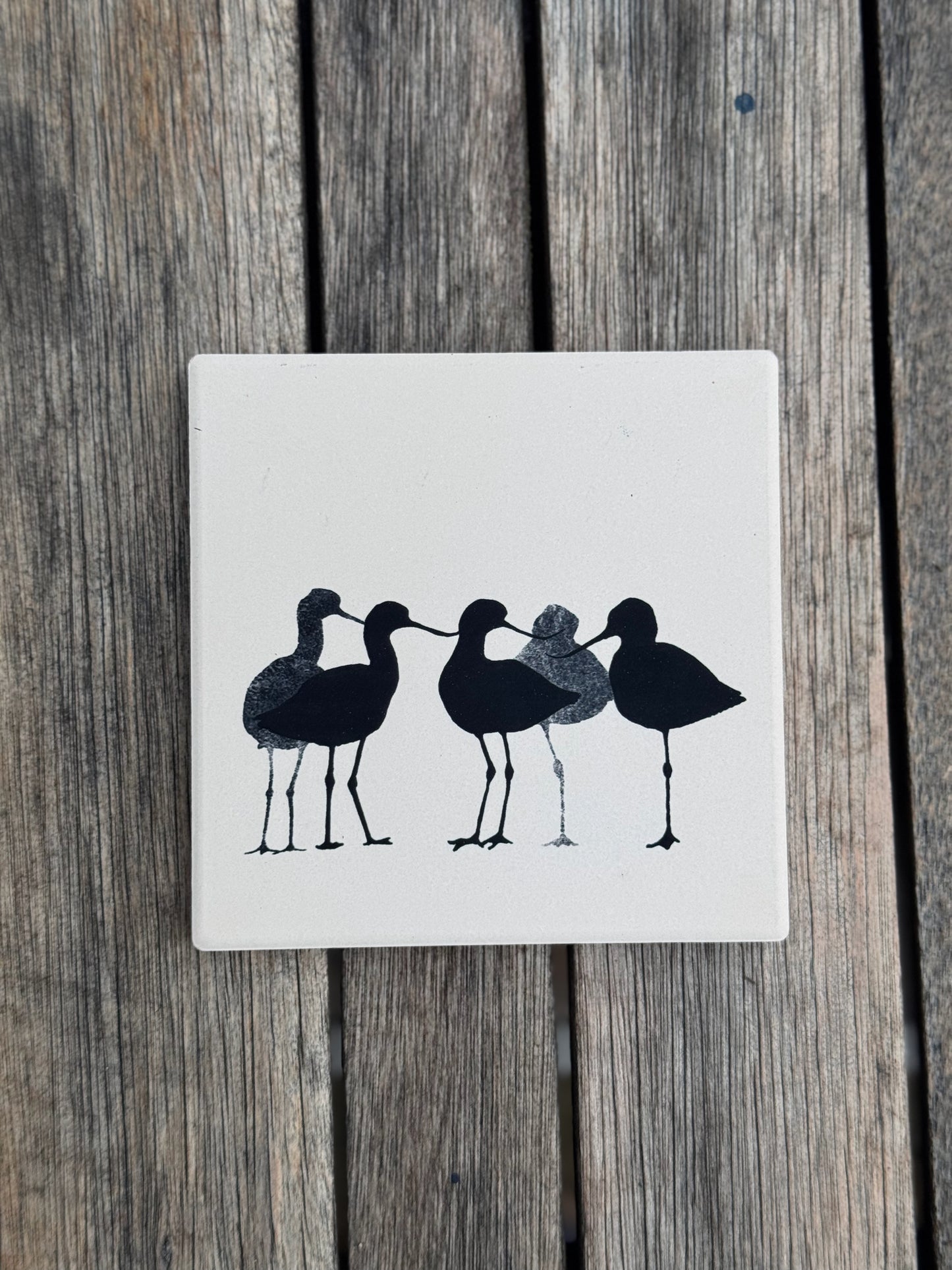 CERAMIC COASTER : avocet