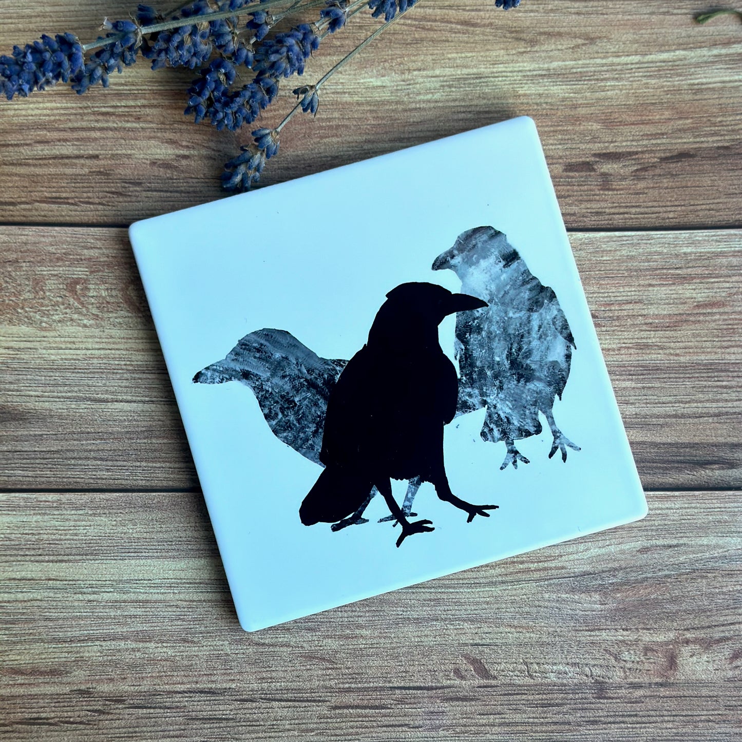 COASTER : 3 craws (crow)