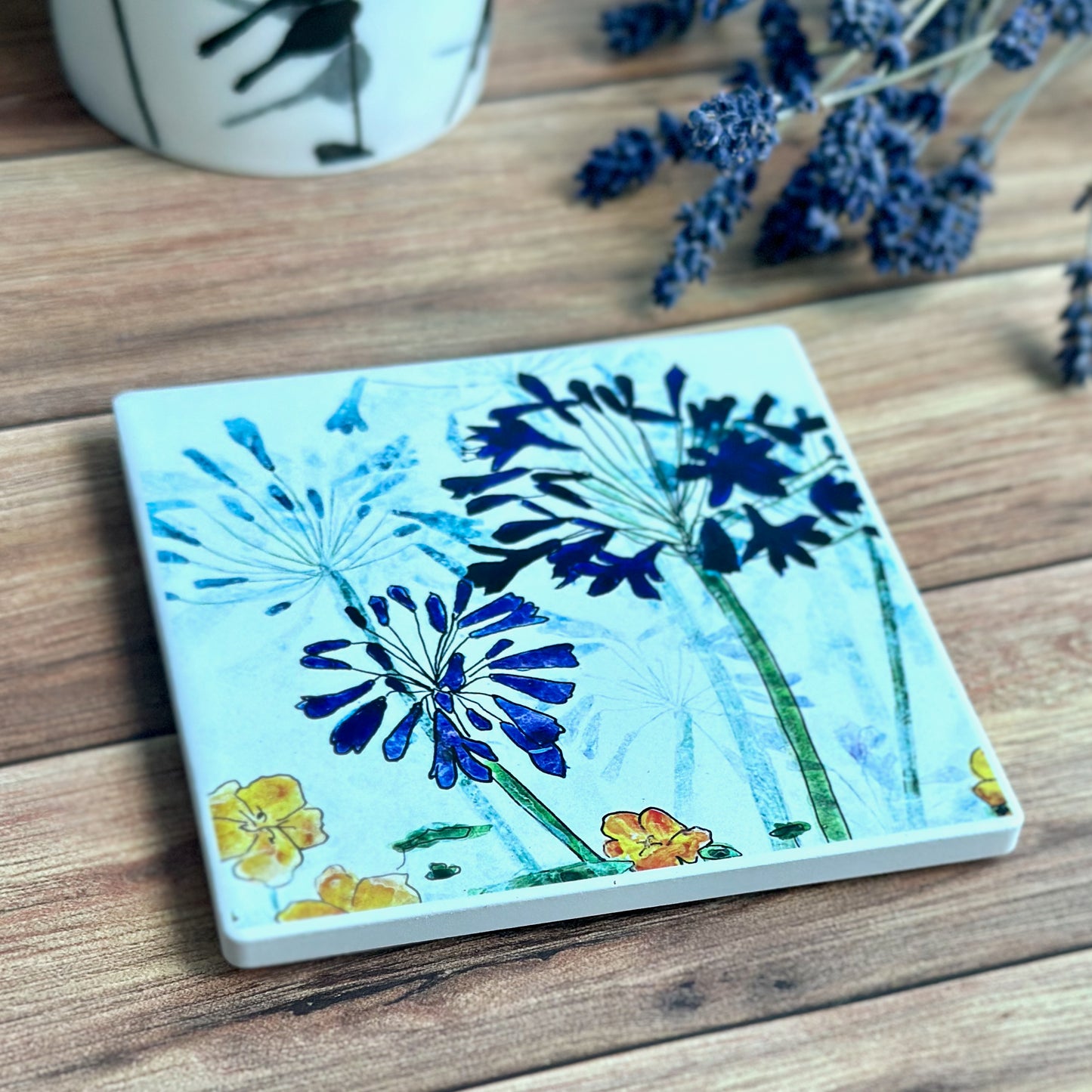COASTER : agapanthus & nasturtium