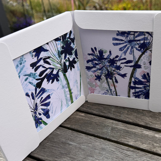 PACK OF GREETING CARDS: agapanthus