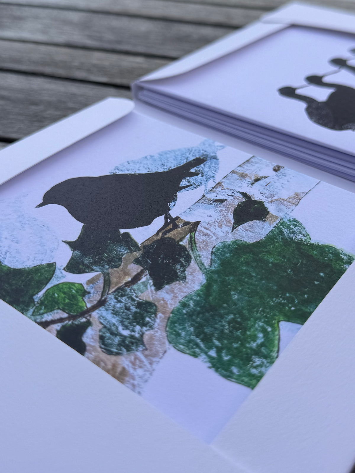 PACK OF GREETING CARDS: birds