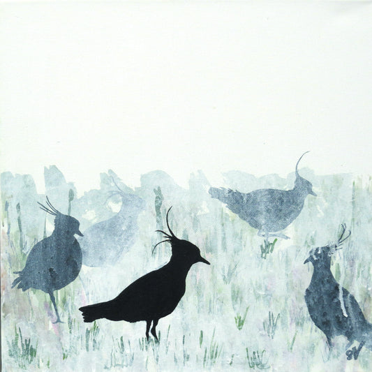 CARD: Peewits SQ