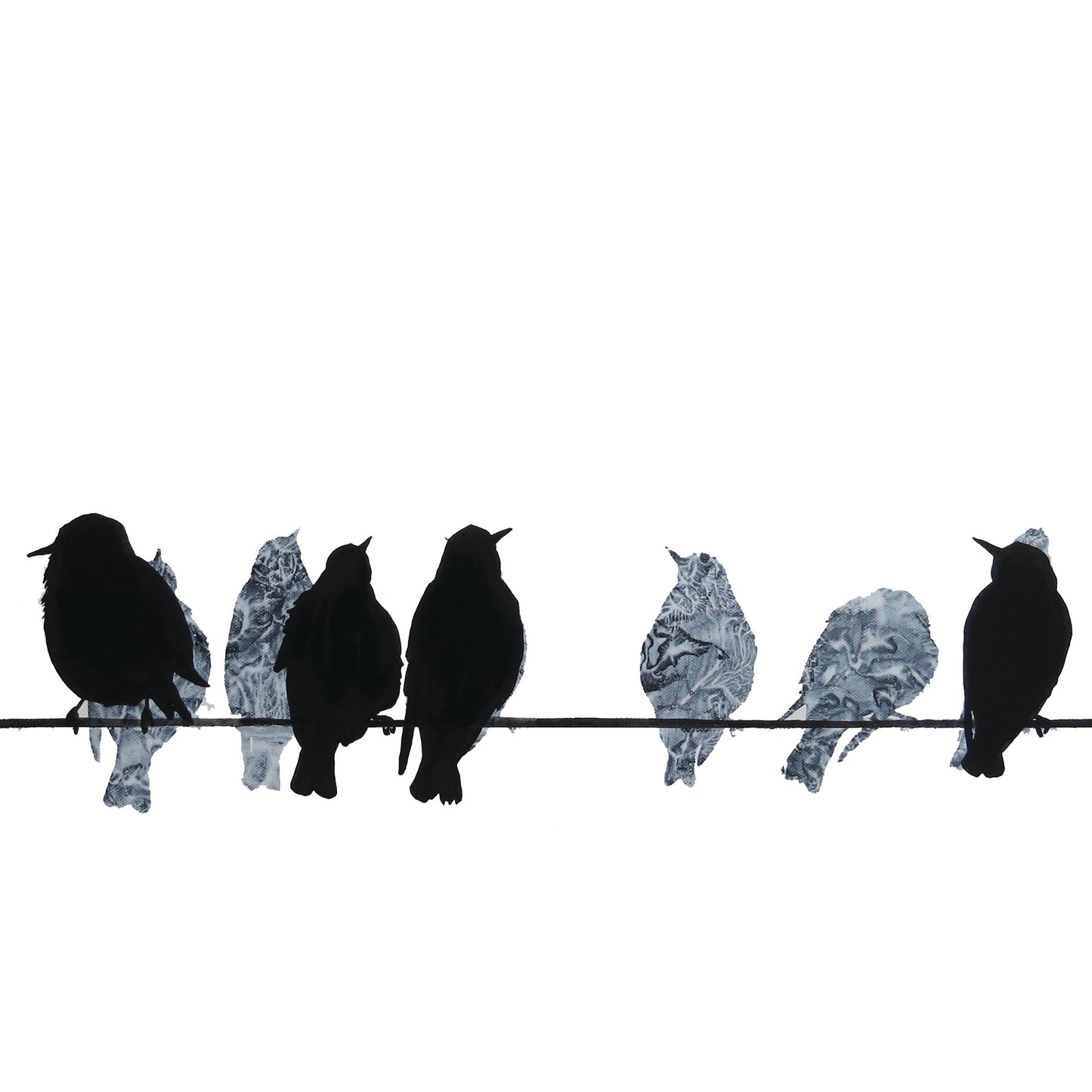 COASTER : starlings