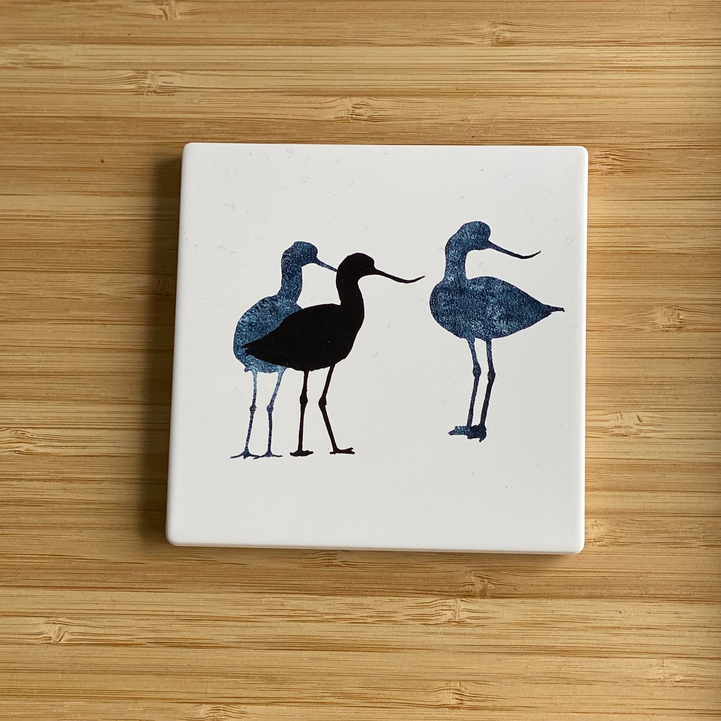 COASTER : avocet