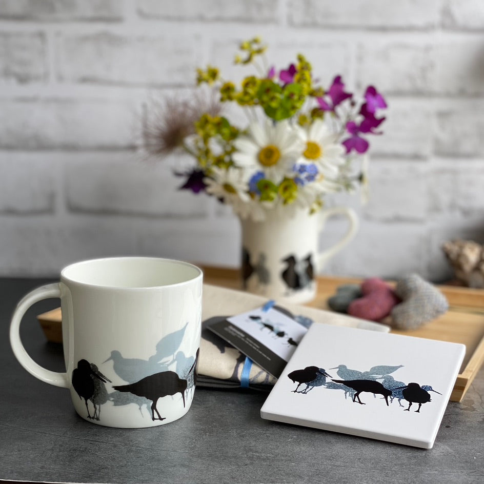 COASTER : oystercatcher