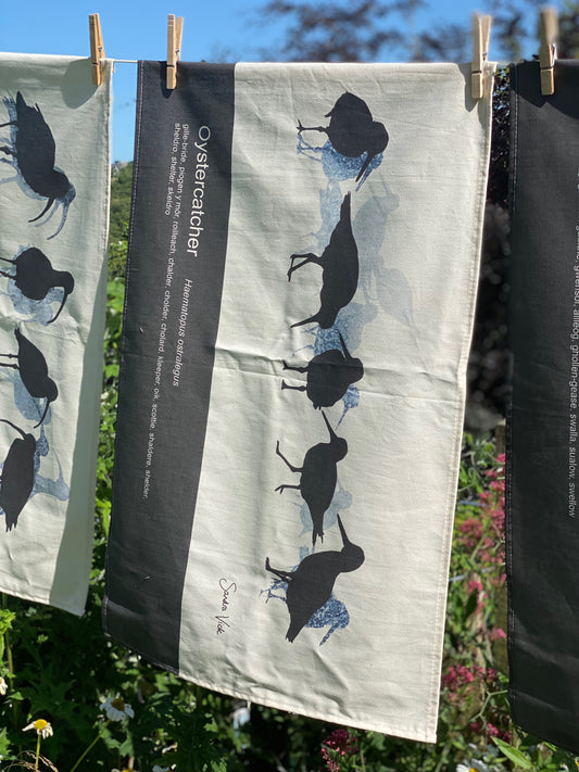 TEA TOWEL - OYSTERCATCHER