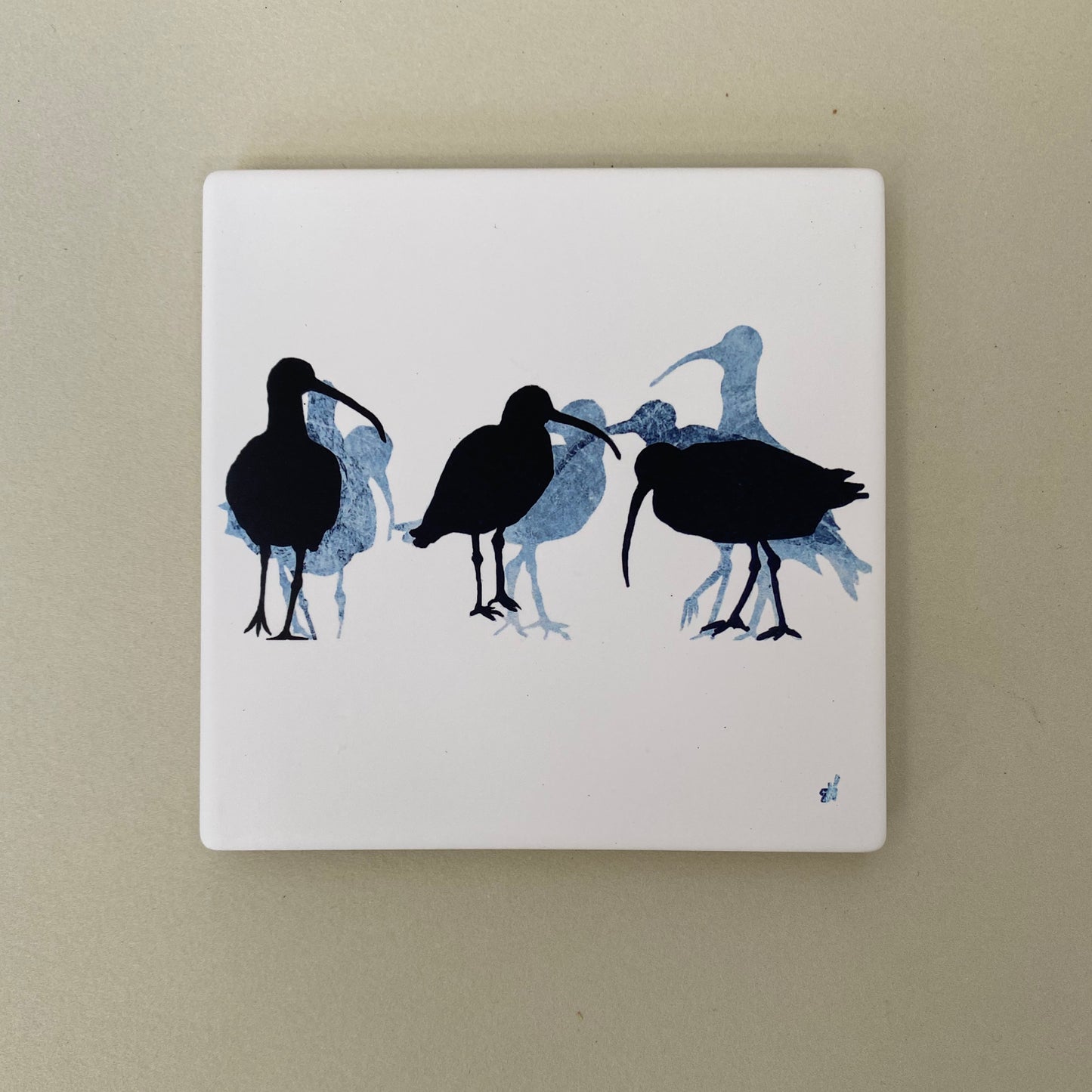 COASTER : curlews