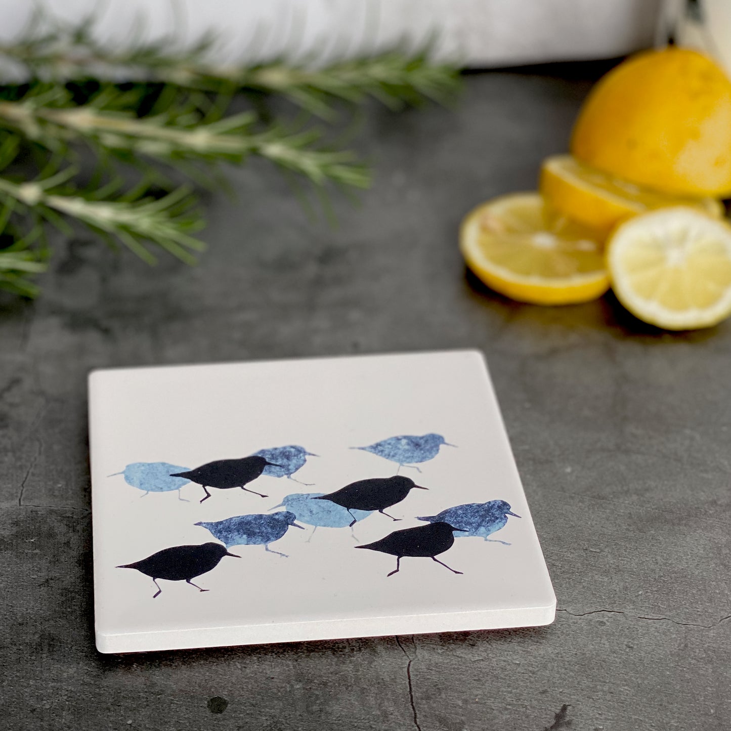 COASTER : sanderlings