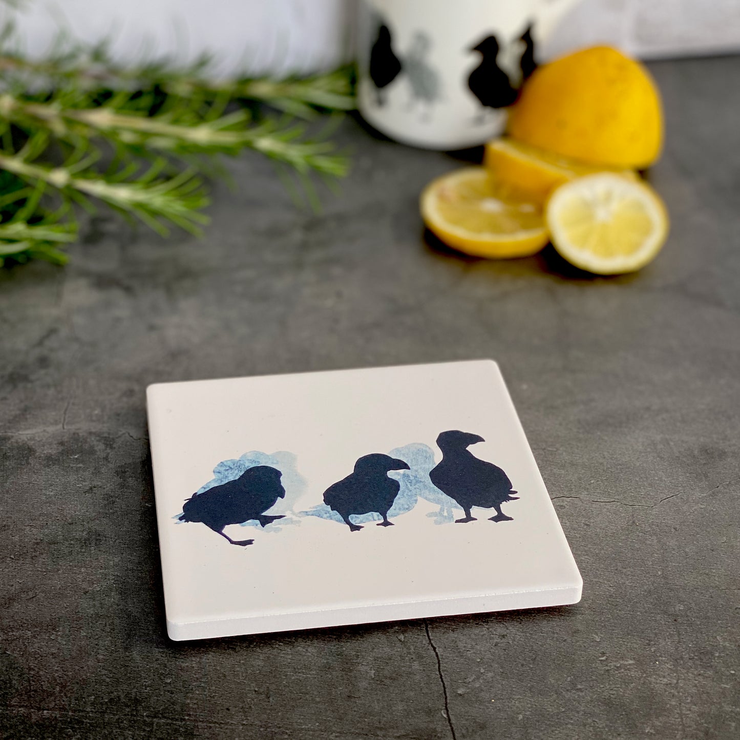 COASTER : puffin