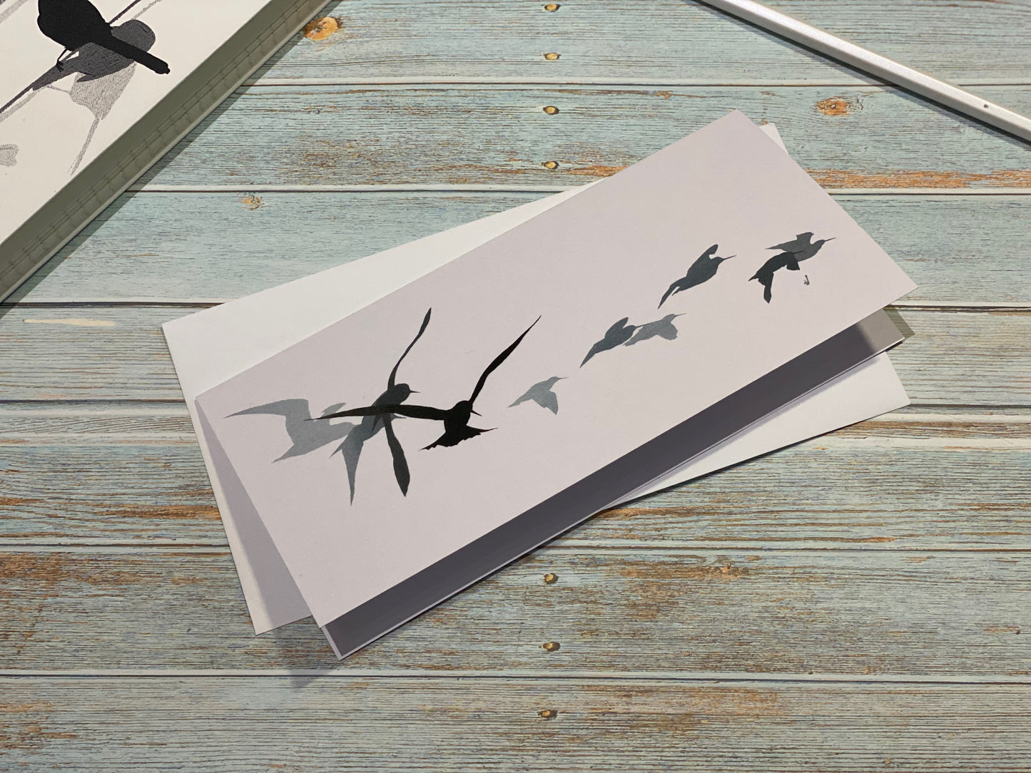 CARD: sandwich tern & oystercatchers