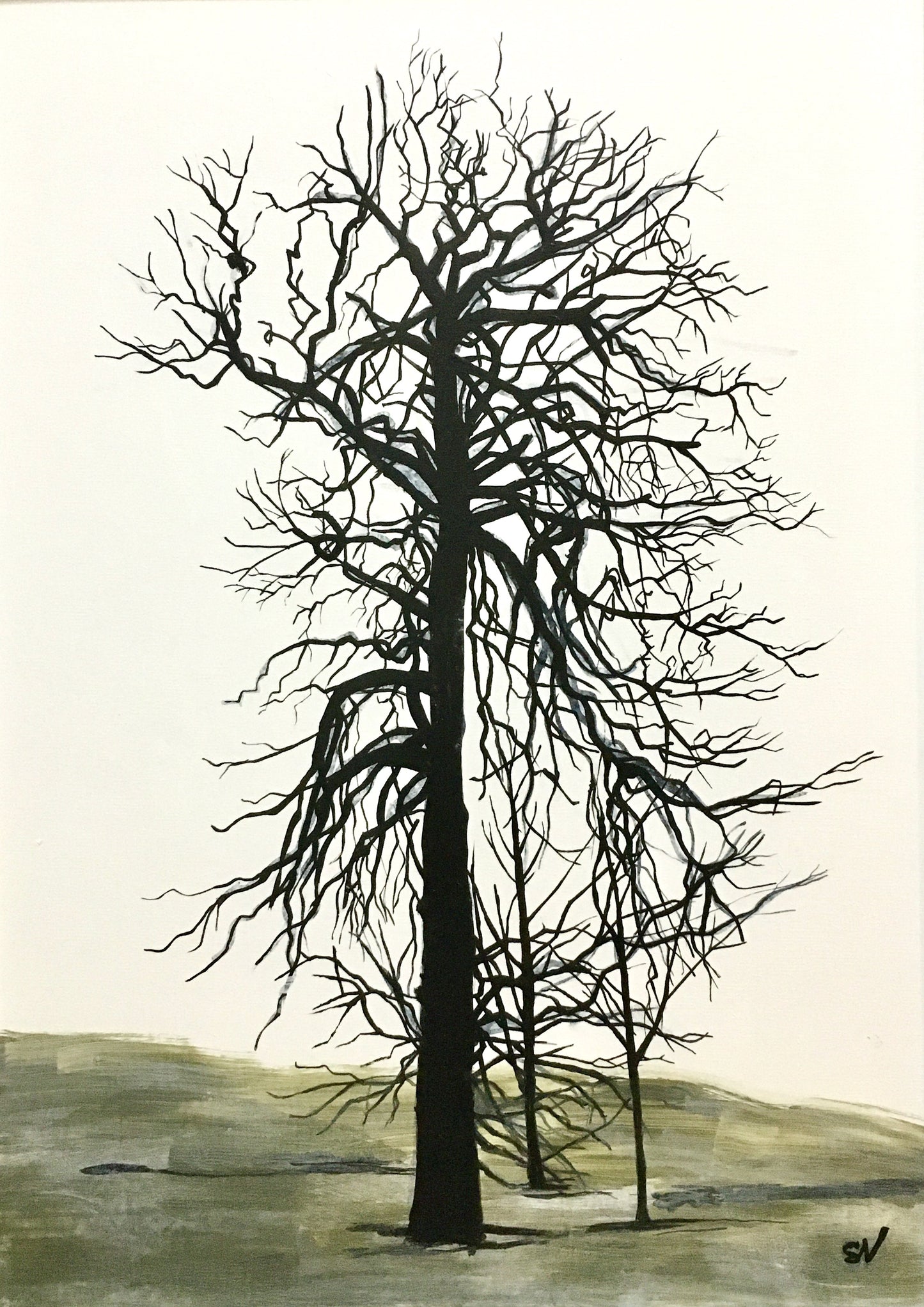 PAINTING: beech study 60x40cm FRAMED