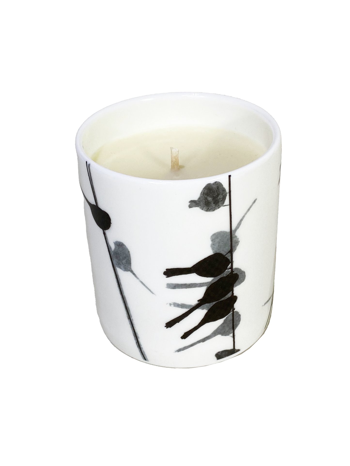 CANDLE: Long-tailed tit