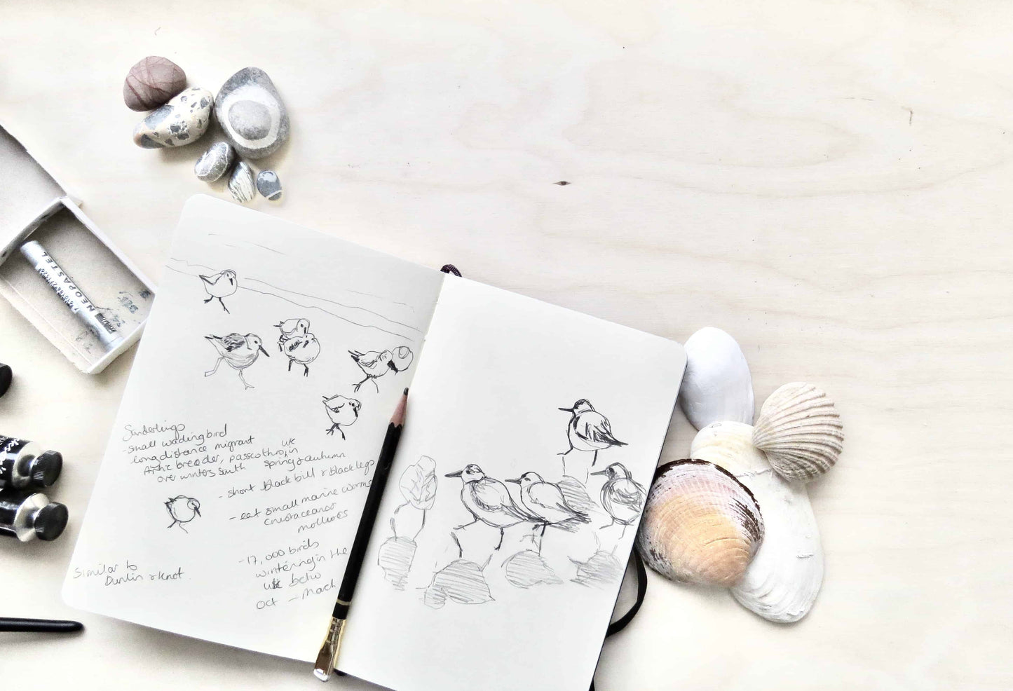 Get Creative sessions for adults