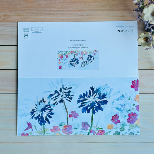 CARD: agapanthus, high summer DL
