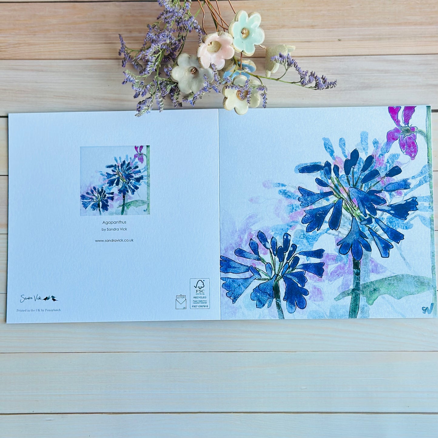 CARD: Agapanthus