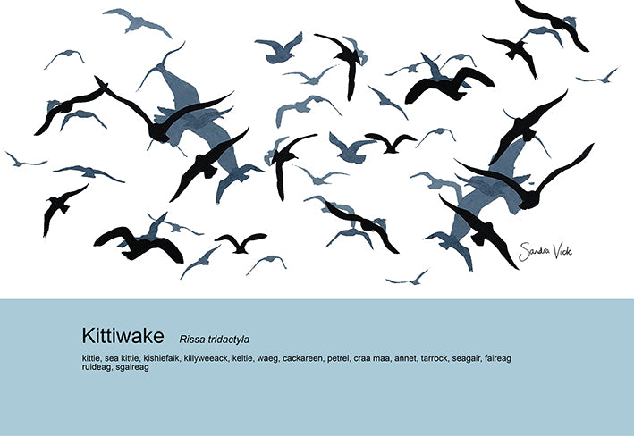 TEA TOWEL - KITTIWAKES unbleached cotton