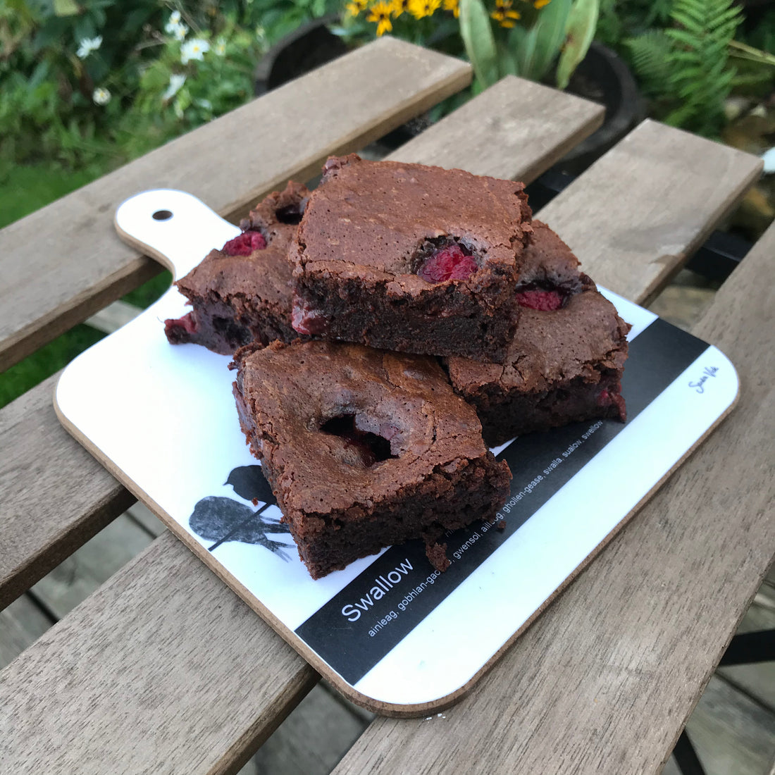 raspberry chocolate brownies