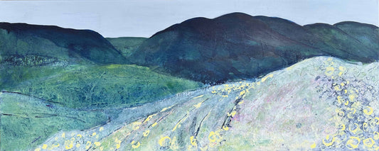 CARD: listening for cuckoos