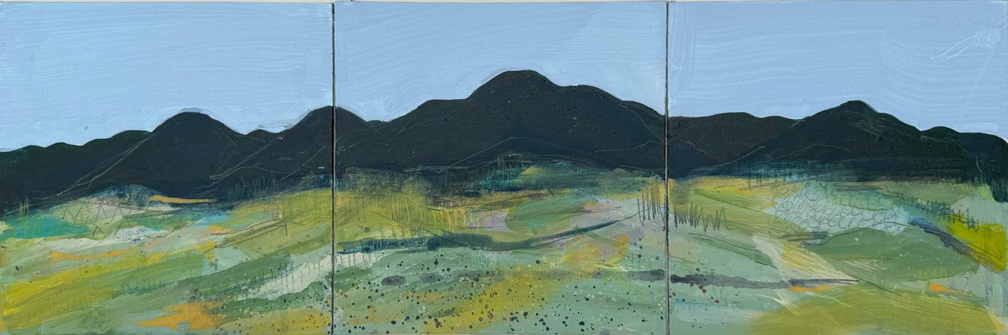 PAINTING: Leithen Hope (a study 2) part 2 of 3 (Copy)