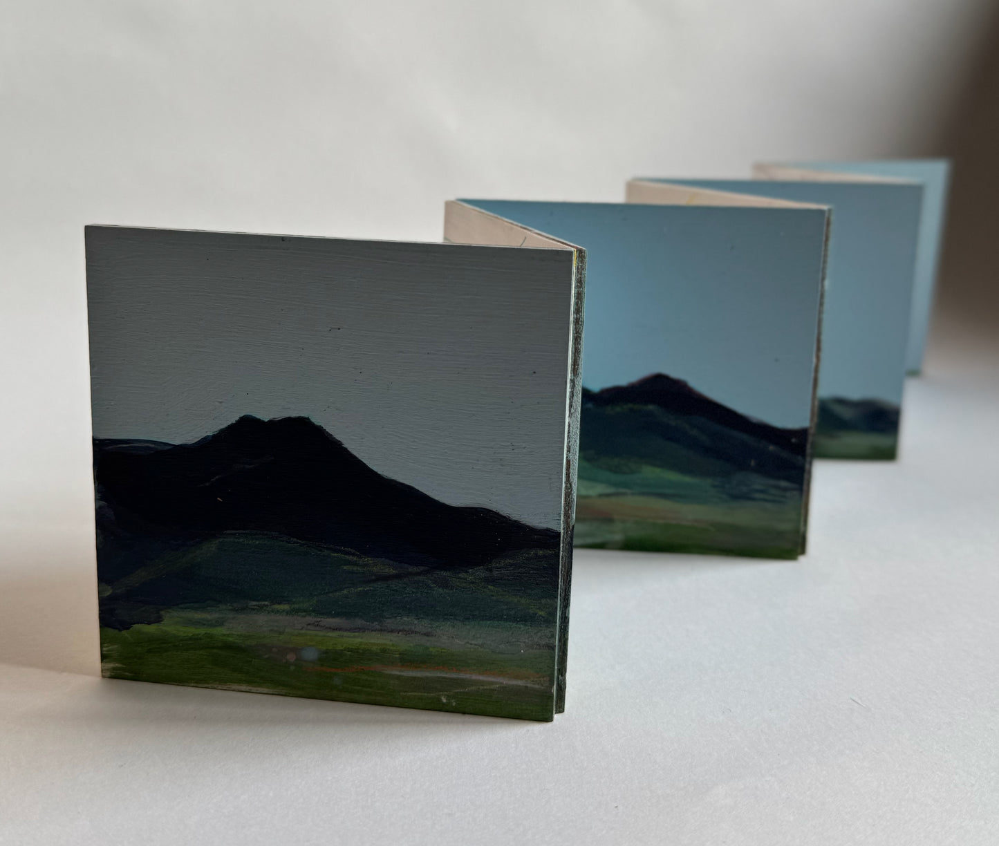 ARTIST BOOK - Cleughs and Knowes