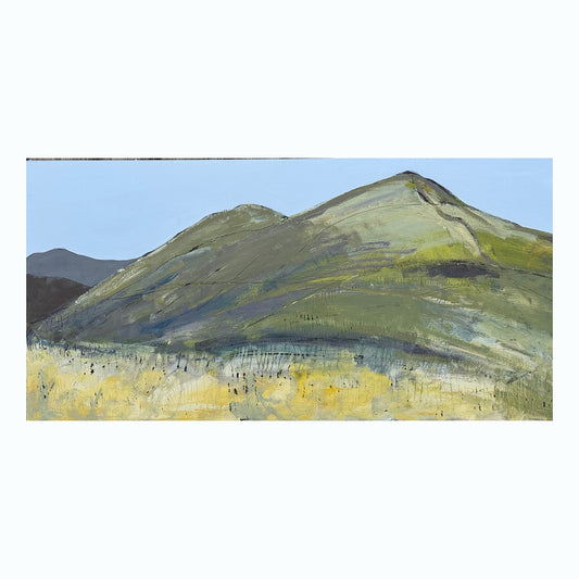 PAINTING:  looking up at the kips