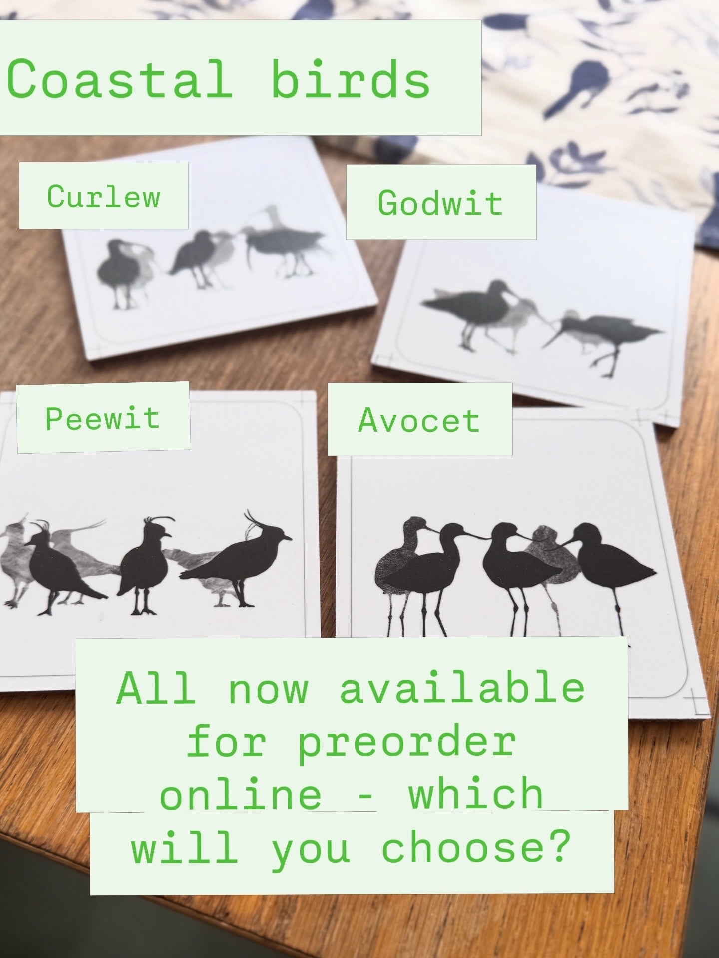 COASTER SET: coastal wader birds x 4