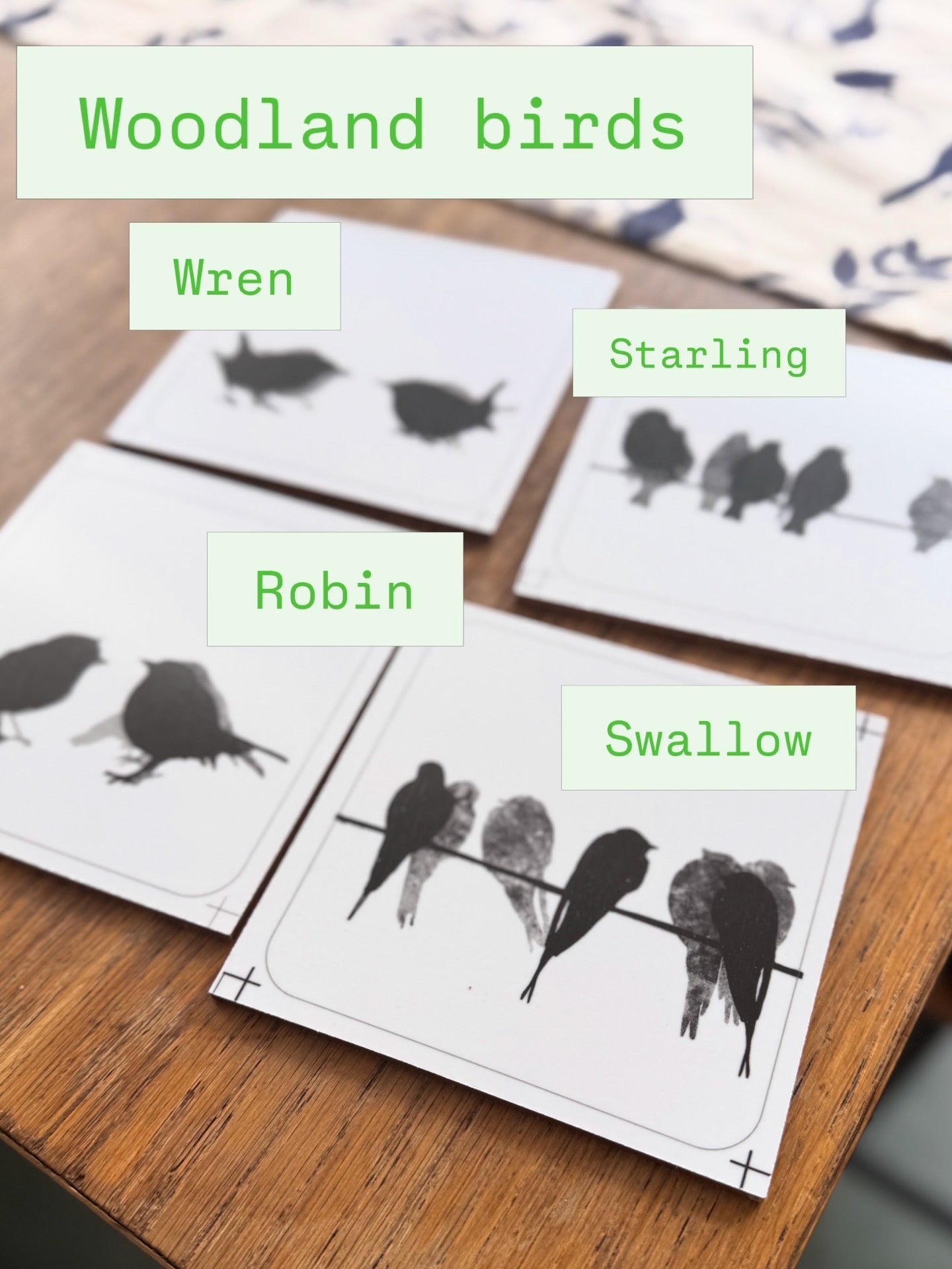 COASTER SET: woodland birds x 4