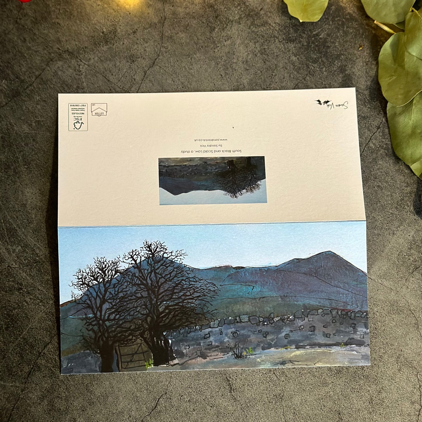 CARD: south black and scald law, a study