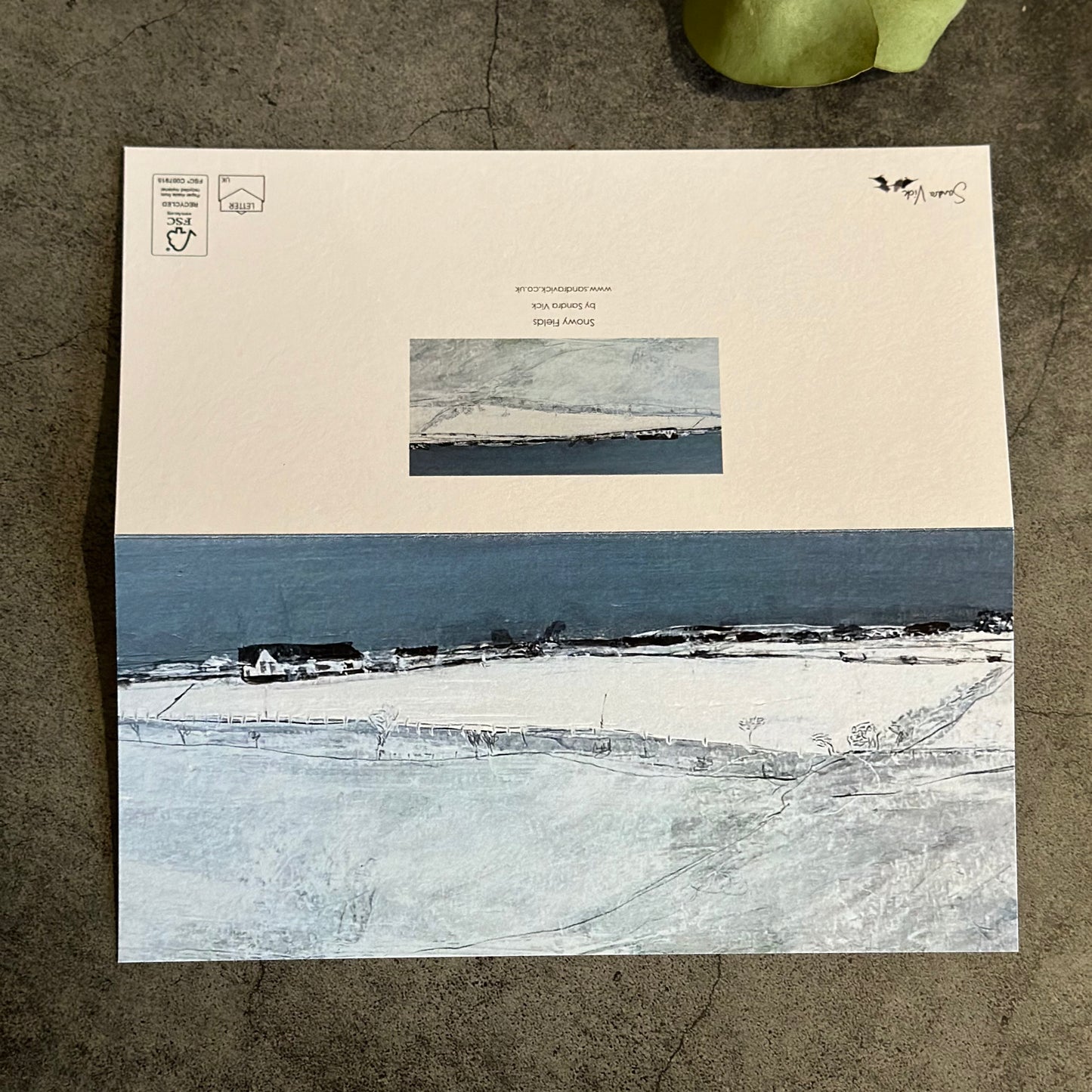 CARD: snowy fields