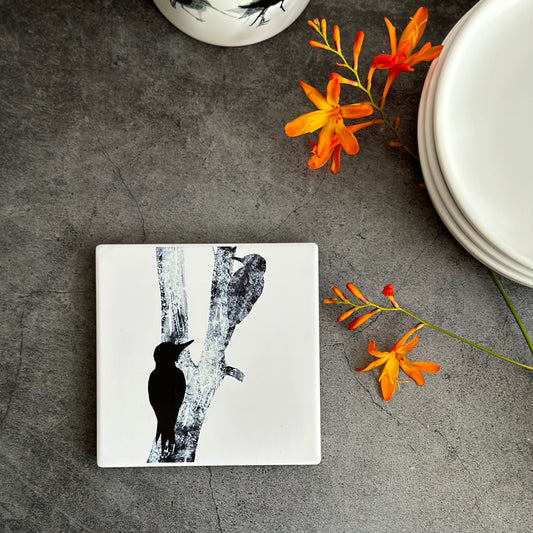 COASTER : woodpeckers