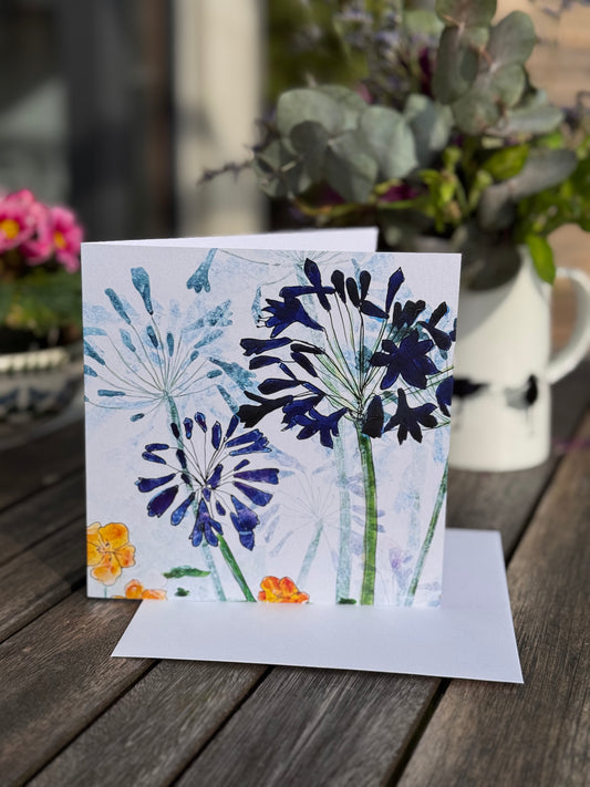 CARD: 2 agapanthus