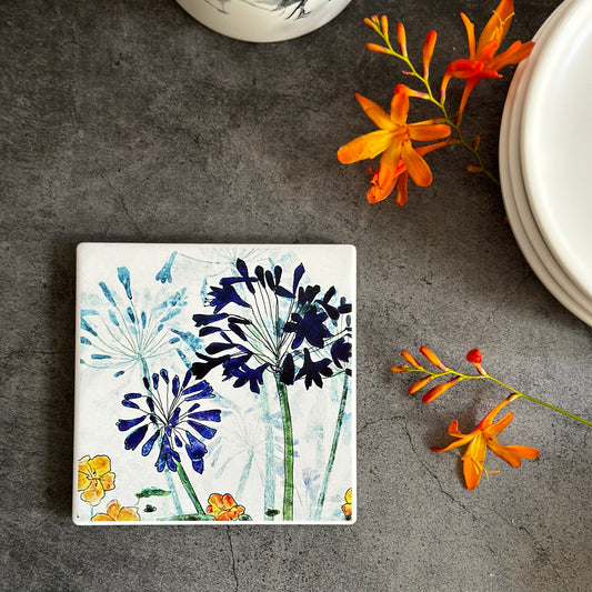 COASTER : agapanthus & nasturtium