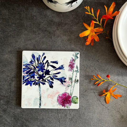 COASTER : agapanthus & cosmos