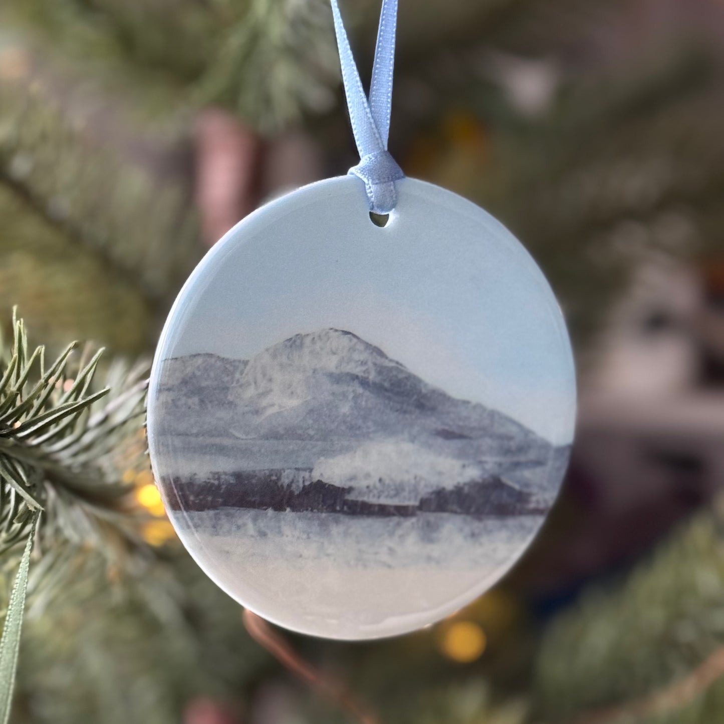 HANGING DECORATION: carnethy in the snow