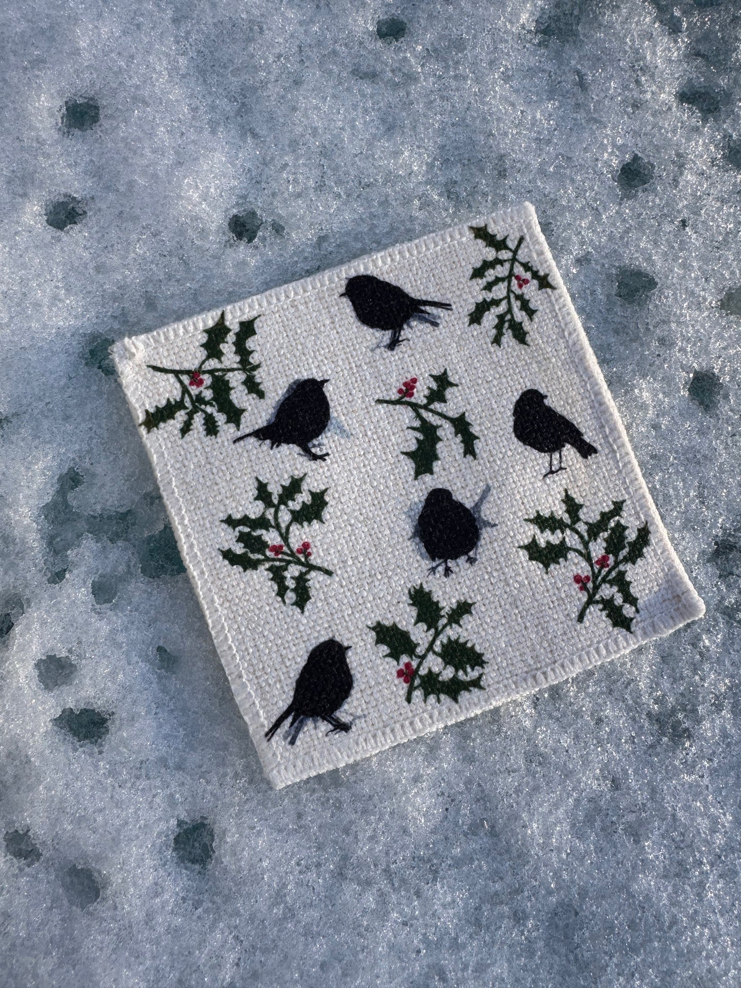 COASTER SET: robin & holly