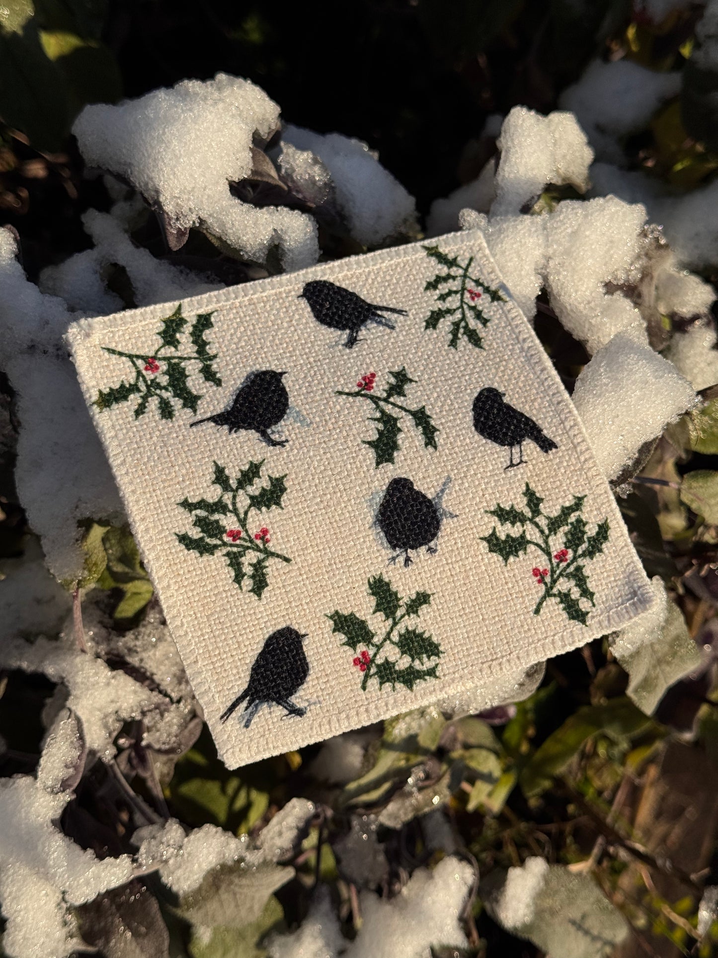 COASTER SET: robin & holly