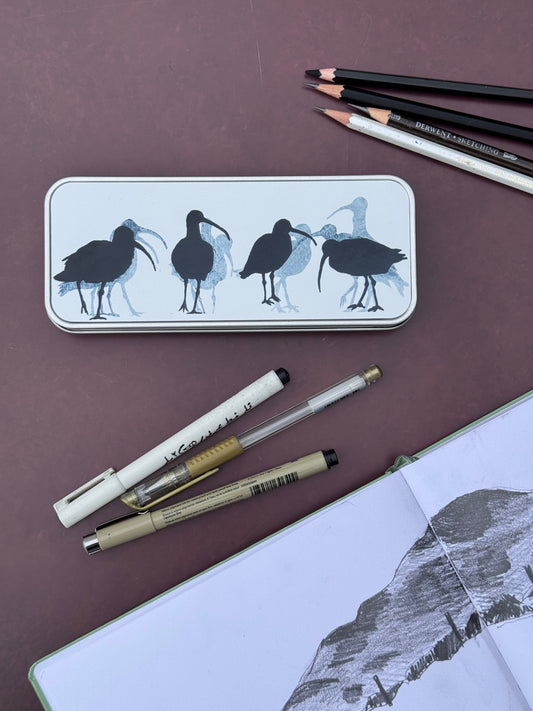 PENCIL TIN : curlew