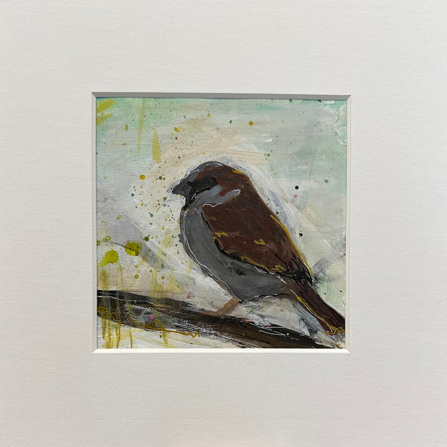 UNFRAMED: house sparrow 1