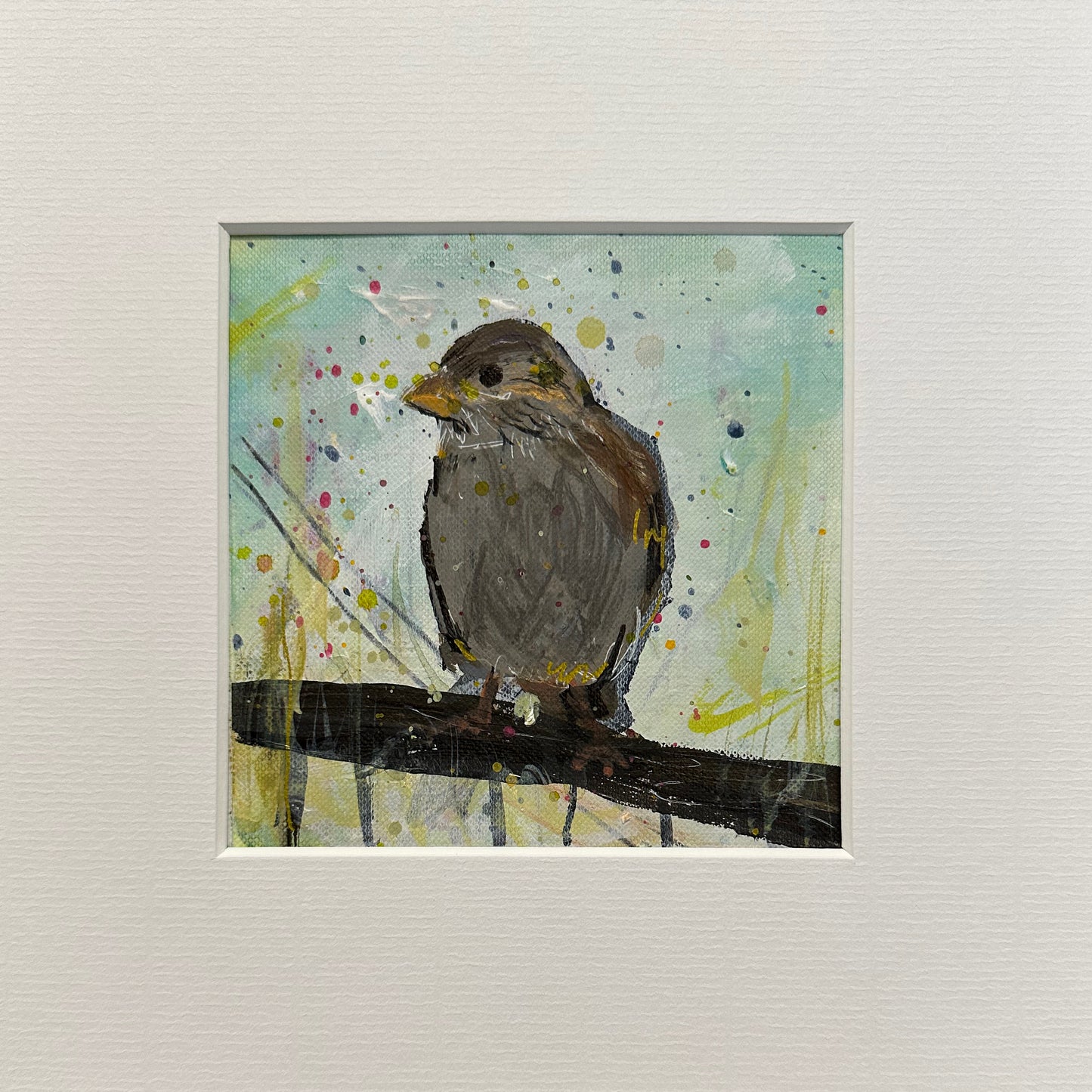 UNFRAMED: house sparrow 2