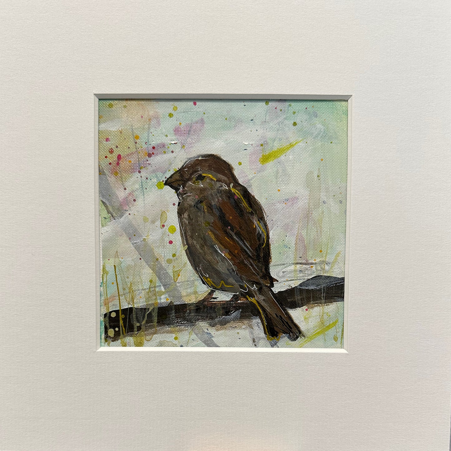 UNFRAMED: house sparrow 3