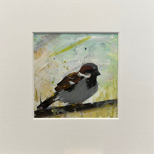 UNFRAMED: house sparrow 4