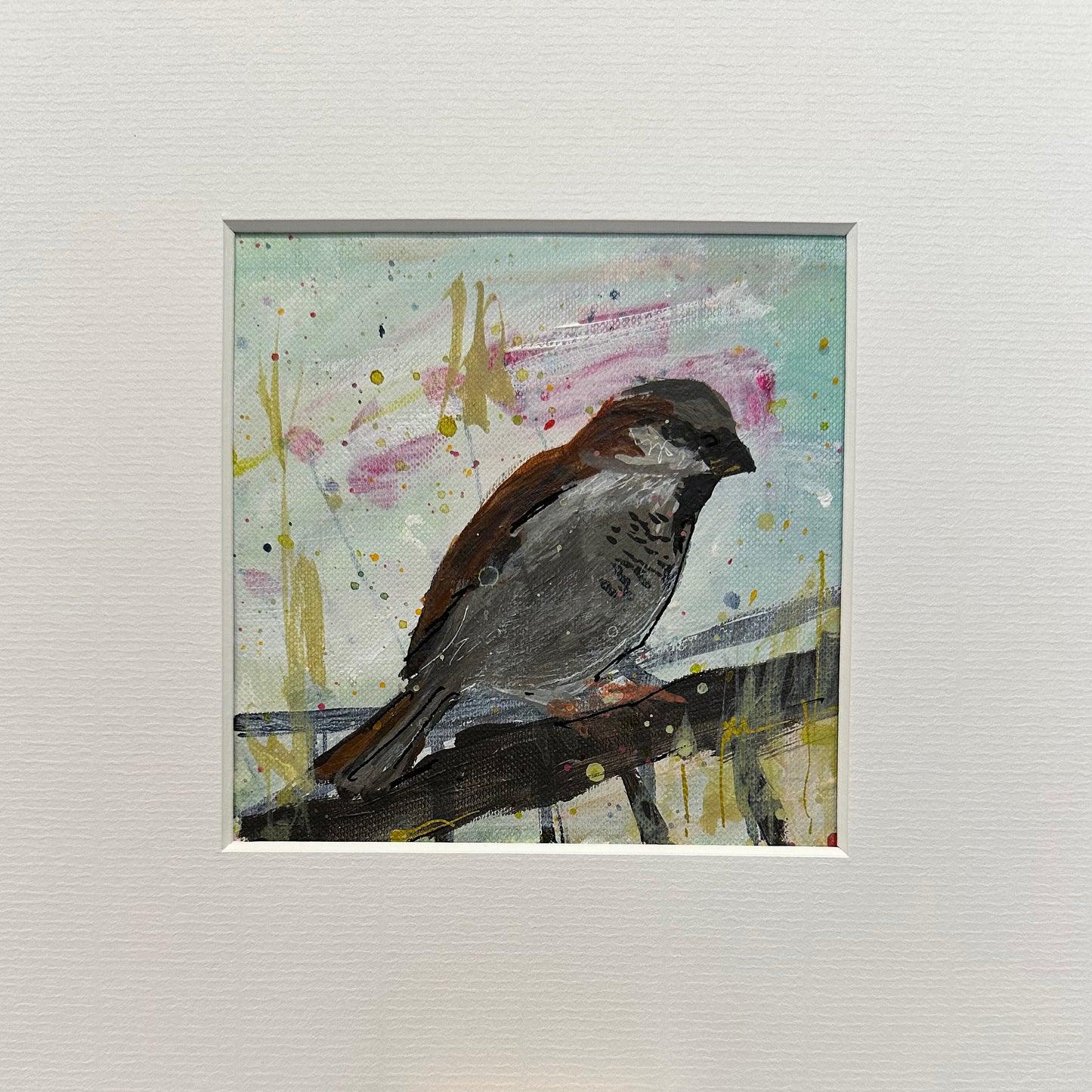 UNFRAMED: house sparrow 5